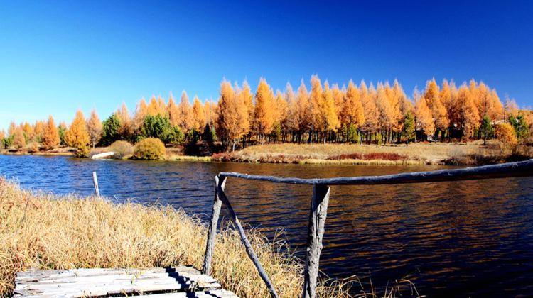 7-Day Beijing, Chengde & Ulan Butong Grassland  Discover Imperial Heritage, Majestic Great Wall, Charming Water Town and Vast Grassland in One Unforgettable Journey