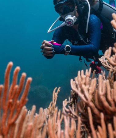 3D2N • PADI Open Water Diver | Learn to Dive in Tayrona