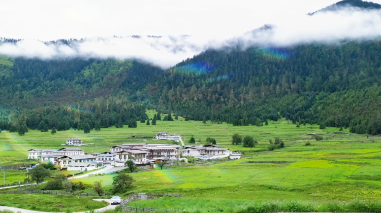 7D6N · Private Tours · Lhasa + Nyingchi + Yamdrok Yumtso + Namtso + Basomtso + Potala Palace