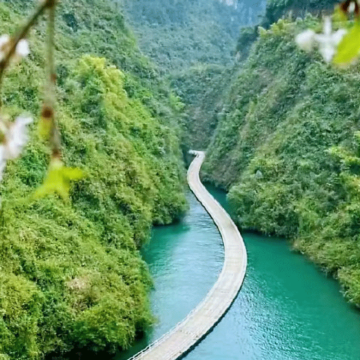 恩施市+宜昌+长江三峡+重庆8日7晚私家团