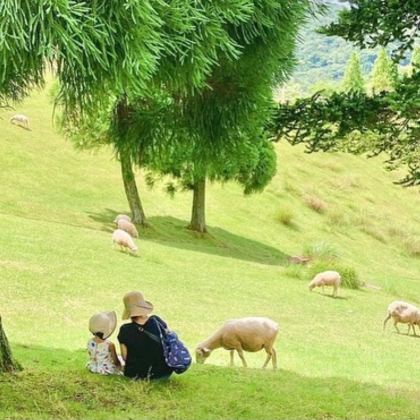 日本大阪+神户2日1晚私家团