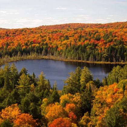 加拿大温哥华+卡尔加里+多伦多+蒙特利尔+渥太华13日12晚私家团