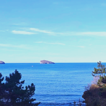 大连+旅顺口区+金石滩度假区+老虎滩海洋公园4日3晚私家团