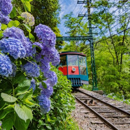 日本大阪+京都+神户+有马温泉乡7日6晚私家团