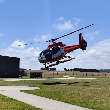 澳大利亚大洋路+十二门徒岩2日1晚跟团游