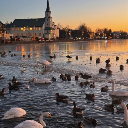冰岛10日9晚拼小团