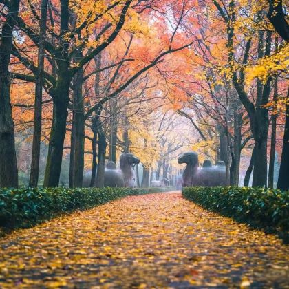 上海+苏州+杭州+无锡+南京+西塘+南浔古镇+乌镇11日10晚私家团