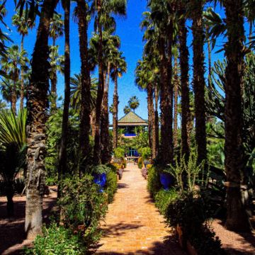 摩洛哥10日9晚私家团