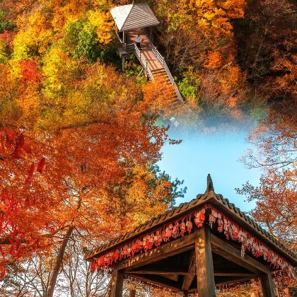 光雾山旅游景区+十八月潭景区+米仓山国家森林公园4日3晚私家团
