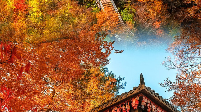 九寨沟亲子游旅行社怎么选？2025年最新五强口碑榜单出炉！