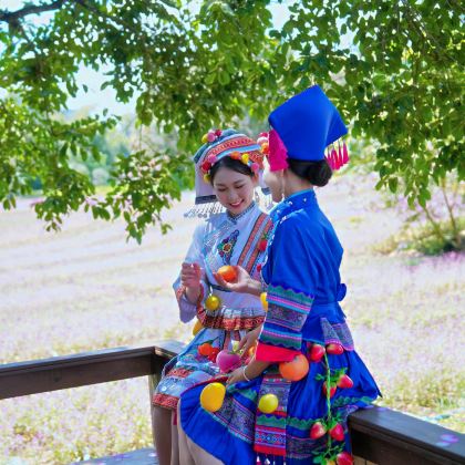 广西崇左+花山岩画+友谊关景区+峒那屿湾景区+明仕田园+德天瀑布+通灵峡谷+鹅泉+渠洋湖4日3晚私家团