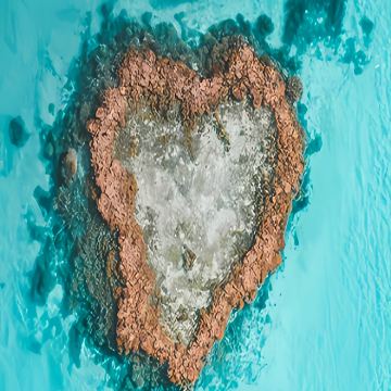 新西兰11日跟团游