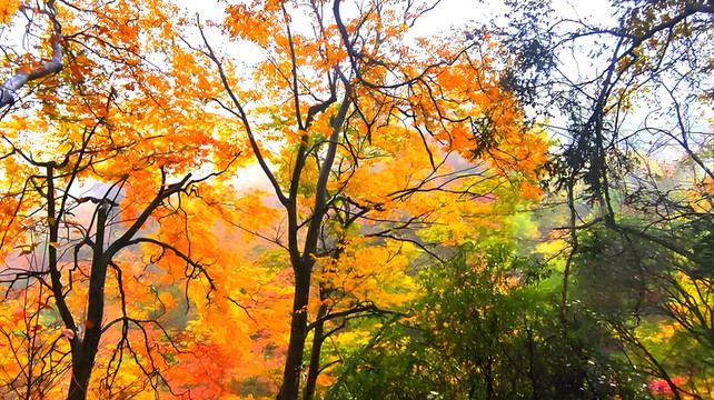 成都6天自由行，九寨沟“住宿+门票+交通+观光车”一站式打包攻略