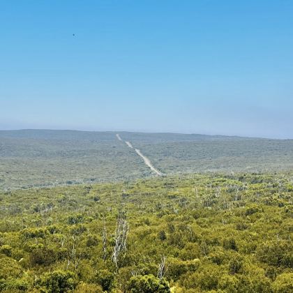 澳大利亚南澳大利亚阿德莱德+蓝湖4日3晚拼小团