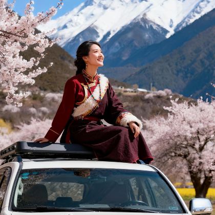 林芝+拉萨+布达拉宫+波密桃花沟+嘎拉桃花村+来古冰川+巴松措+羊卓雍错8日7晚拼小团