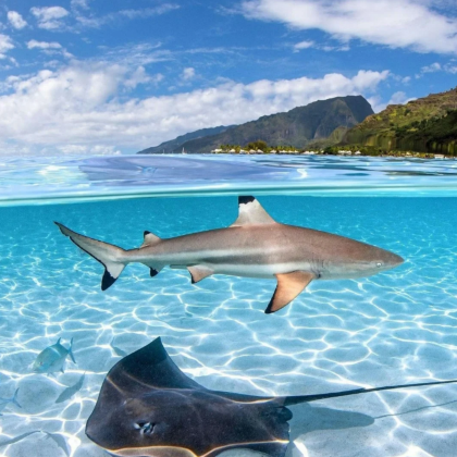 大溪地6日5晚私家团