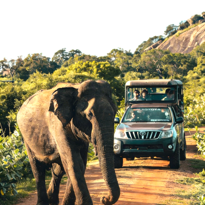 斯里兰卡科伦坡+康提+加勒+丹布勒12日11晚私家团