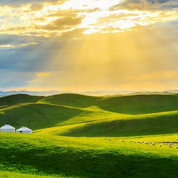 哈尔滨+呼伦贝尔+满洲里+漠河+五大连池风景区+伊春11日10晚跟团游