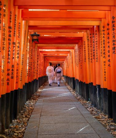 9D8N • Osaka, Kyoto, Tokyo, Mt. Fuji, Kamakura - Small group tour (semi-independent) | Includes JR Shinkansen | Visits Kiyomizu-dera Temple & Nara | Oshino Hakkai & Lake Kawaguchi & Kamakura | Airport transfer included