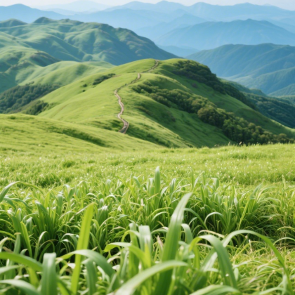 贵州六盘水+乌蒙大草原+野玉海山地旅游度假区4日3晚私家团