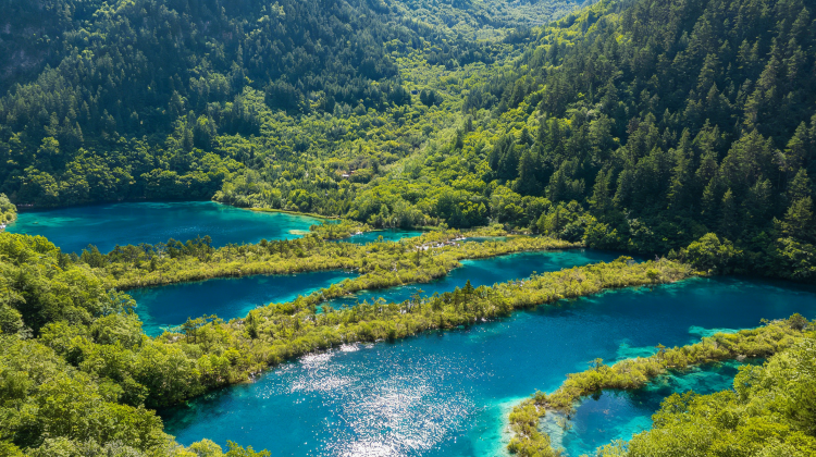2D1N · Private Tours · Jiuzhaigou & Huanglong full tour - Complimentary hotel dinner & exclusive scenic photo service - Overnight at premium 5-Diamond hotel , Free SIM card & travel adapter 
