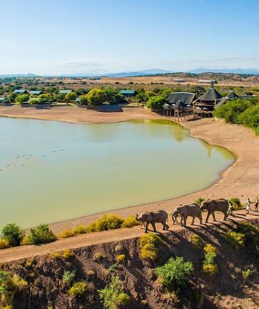 2D1N • 2 Day South African Wildlife Tour with 4x4 Safari from Cape Town