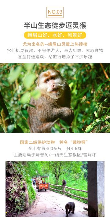 成都