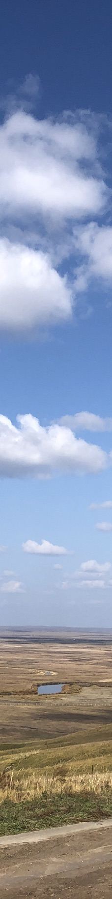 186彩带河-陈巴尔虎旗