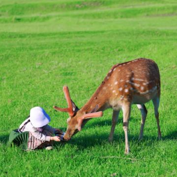 北戴河+承德+坝上+乌兰布统旅游区+木兰围场5日4晚跟团游