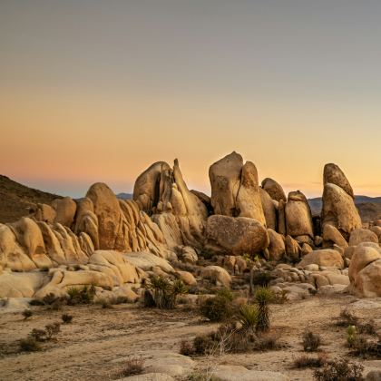 美国洛杉矶+约书亚树国家公园3日2晚私家团