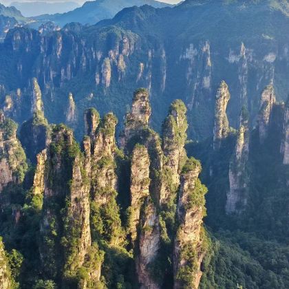 张家界国家森林公园+袁家界景区+天门山3日2晚私家团