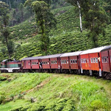 斯里兰卡15日14晚私家团