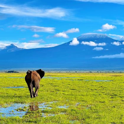 肯尼亚内罗毕+马赛马拉国家保护区+奈瓦沙湖+安博塞利国家公园+纳库鲁7日6晚跟团游