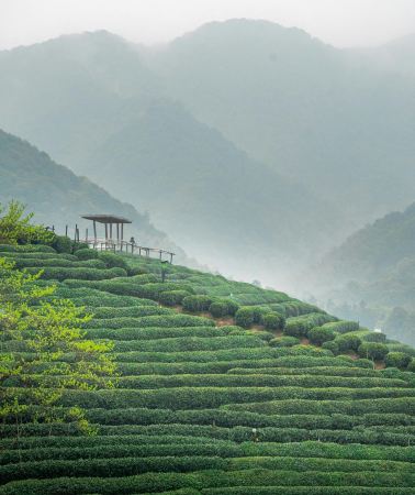4D3N • Shanghai + Hangzhou + Suzhou + Wuzhen: customizable itinerary & hotel options
