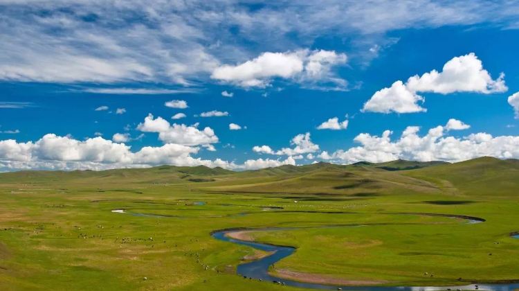5-Day Hulunbuir + Hailar + Aershan National Forest Park