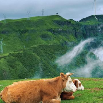 贵州贵阳+黄果树景区+马岭河+织金洞+乌蒙大草原6日5晚跟团游