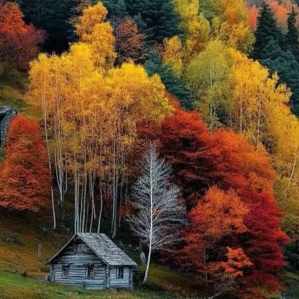 光雾山旅游景区+米仓山国家森林公园4日3晚私家团