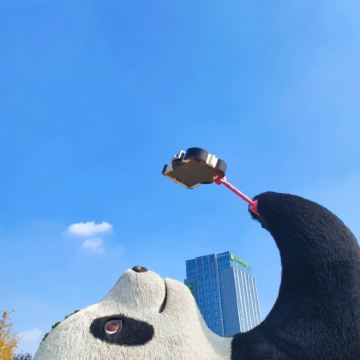 重庆+成都+都江堰+青城山+三星堆博物馆6日5晚私家团