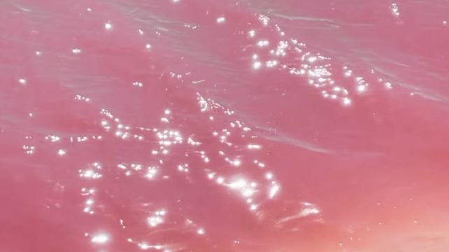 澳大利亞西澳大利亞珀斯+羅特尼斯島5日4晚跟團遊·粉紅湖心動之旅+享整隻澳龍餐+網紅小袋鼠合影+白沙丘四驅衝沙體驗+華人司導服務無憂