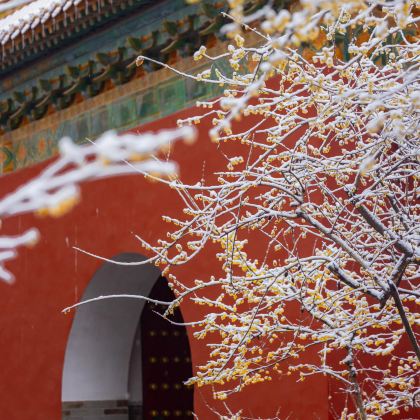 南京+扬州6日5晚私家团