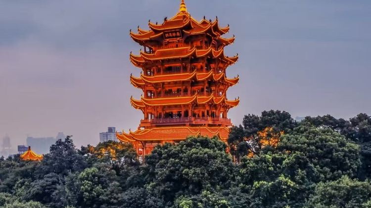 武汉+6