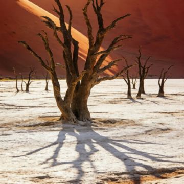 津巴布韦+赞比亚+博茨瓦纳+纳米比亚+南非+埃塞俄比亚20日跟团游