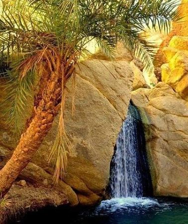 3D2N • The Tunisian South between Oasis and Mountain: 3 Days / 2 Nights Douz and Tozeur