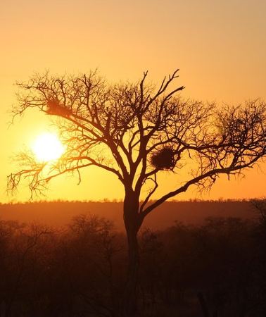 3D2N • 3 Day Kruger National Park tour