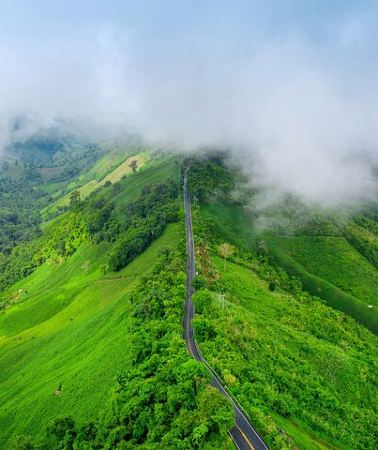 2D1N • Chikmagalur Coffee Trail 2 Day Private Tour from Bangalore
