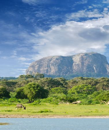 8D7N • Pure sightseeing, no shopping + 5-diamond hotels throughout + 2 consecutive nights at a beachfront pool hotel + Yala National Park Safari + Galle Fort + Sigiriya Lion Rock + Hill Country & Coastal Train Rides + Kandy Cultural Dance Show