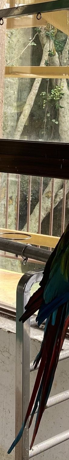 中国·周原-岐山