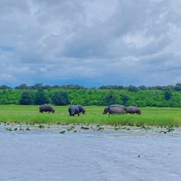 南非10日8晚私家团