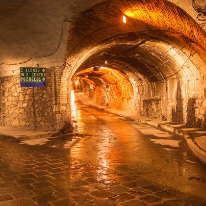 美国奥兰多+迈阿密+坎昆+墨西哥城+洛杉矶18日17晚私家团