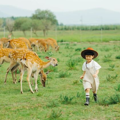 神农架4日3晚跟团游